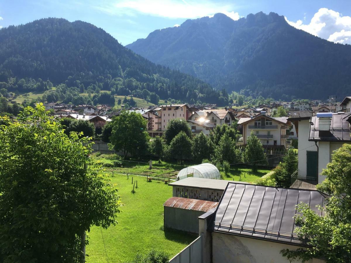 费拉迪普利米罗La Finestra Sulle Dolomiti - The Window To The Dolomites公寓 外观 照片
