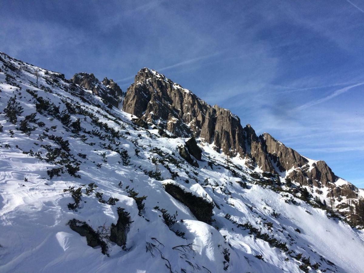 费拉迪普利米罗La Finestra Sulle Dolomiti - The Window To The Dolomites公寓 外观 照片